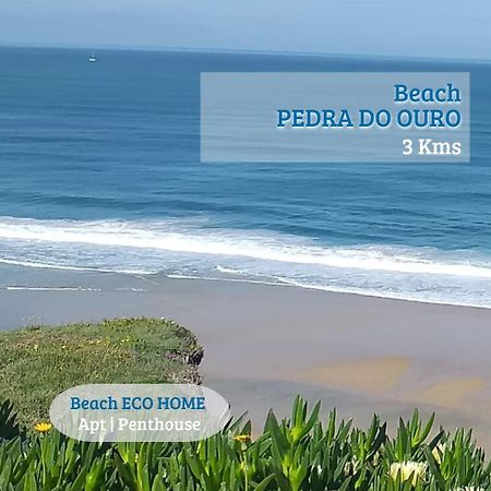 Senhora da Vitoria Beach Eco Home المظهر الخارجي الصورة